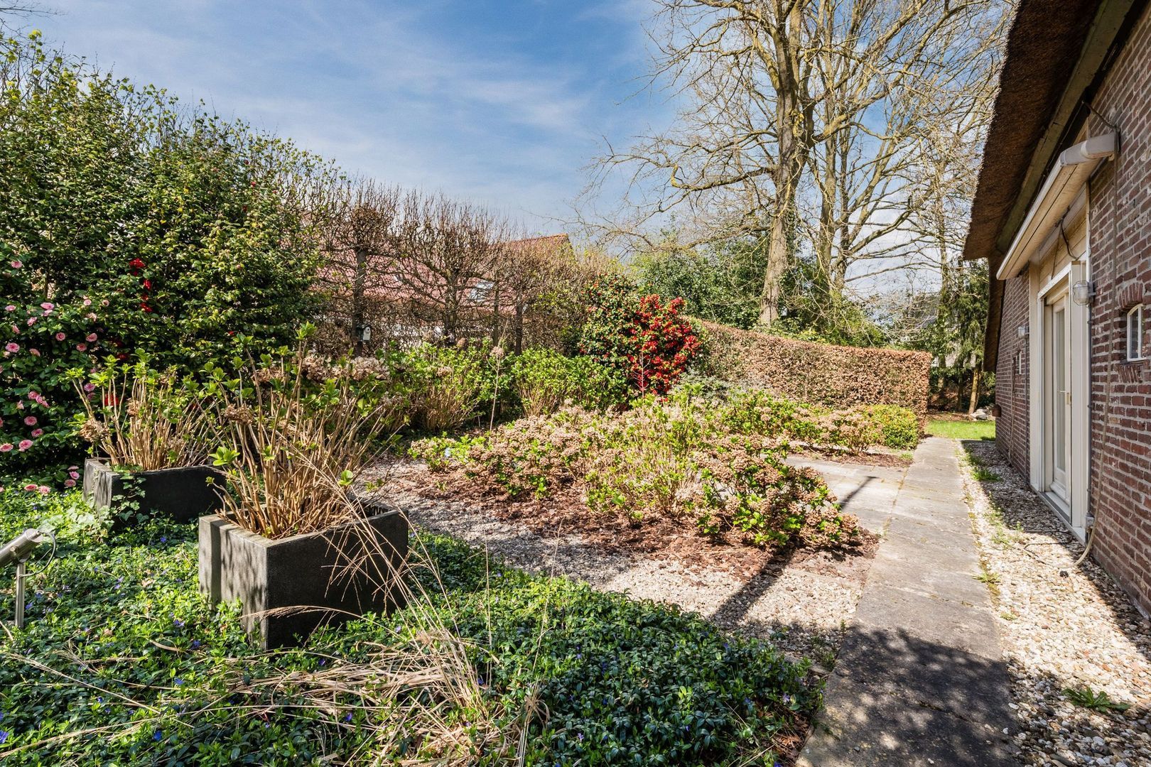 Commissieweg 1, De Wijk foto-45 blur