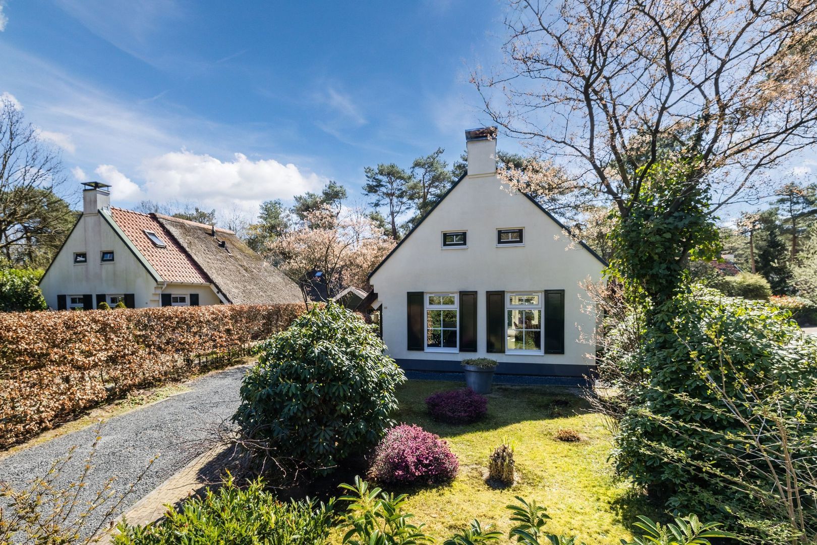 De Witte Bergen 80, Ijhorst foto-0 blur