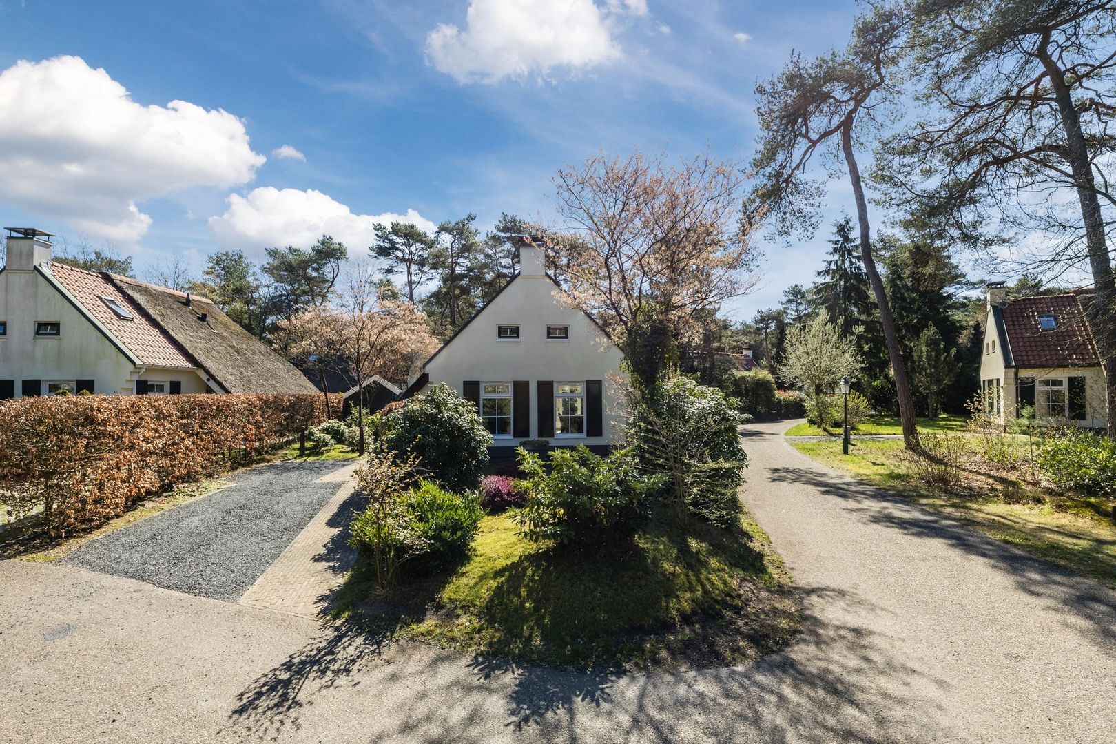 De Witte Bergen 80, Ijhorst foto-25 blur