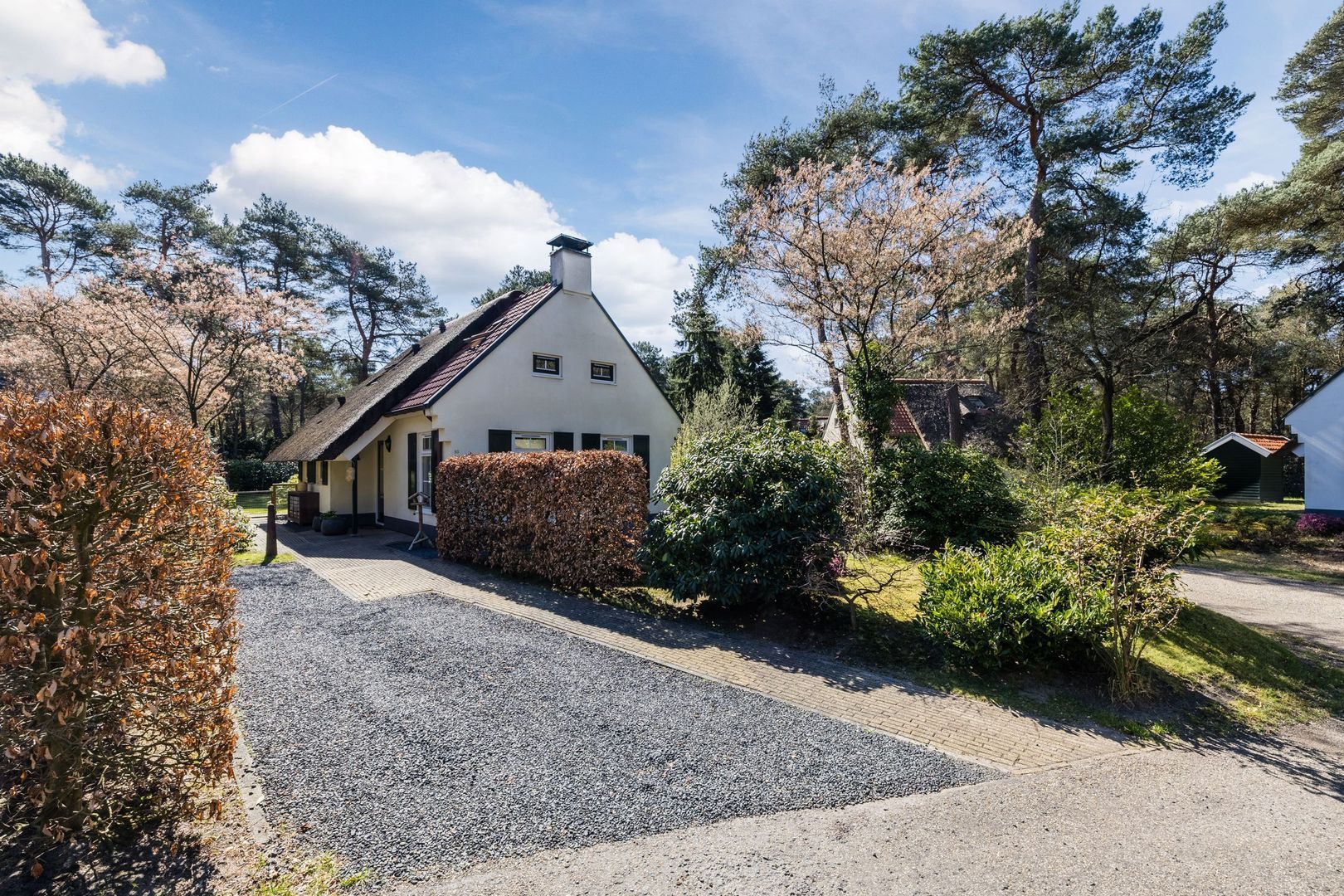 De Witte Bergen 80, Ijhorst foto-26 blur