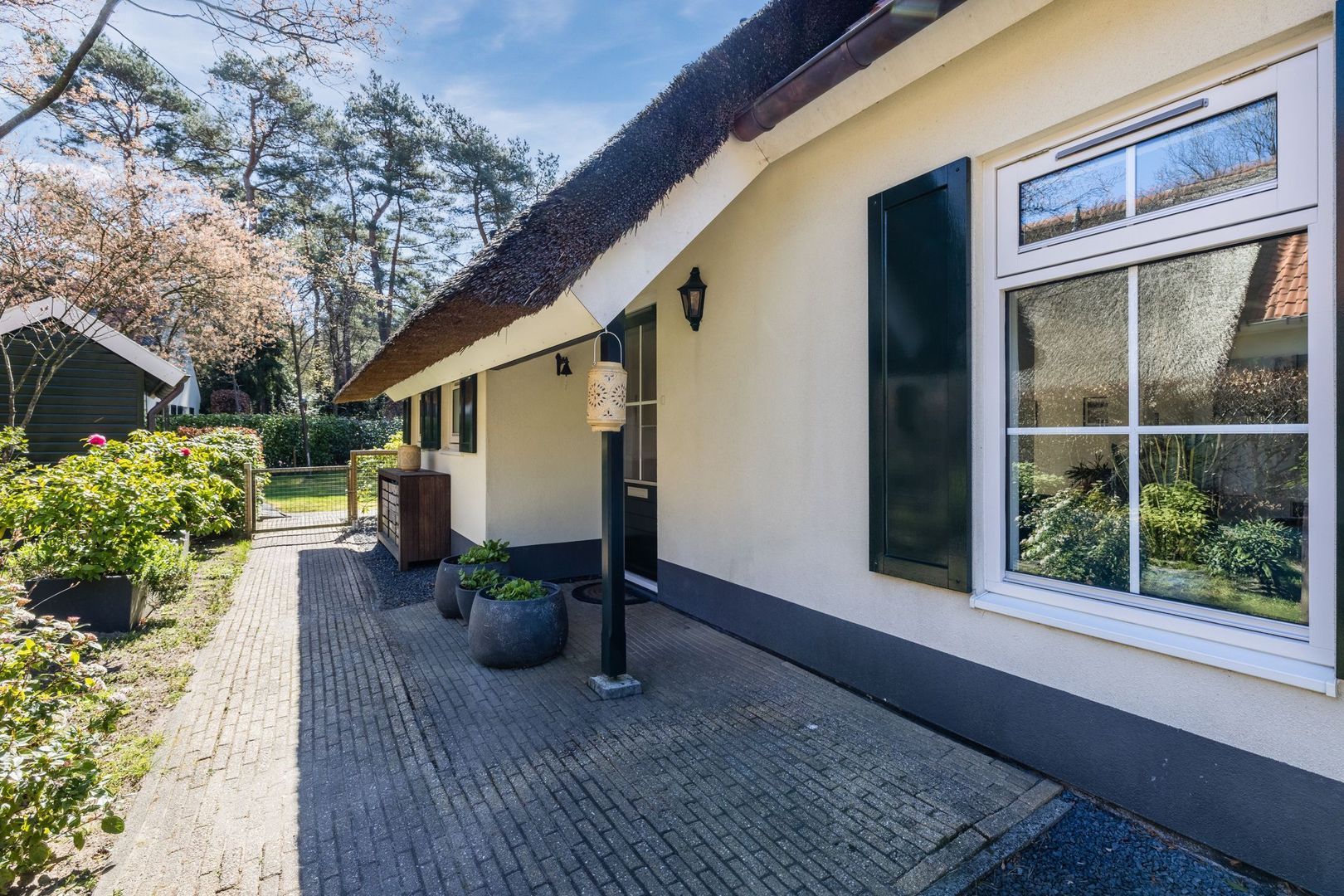 De Witte Bergen 80, Ijhorst foto-27 blur