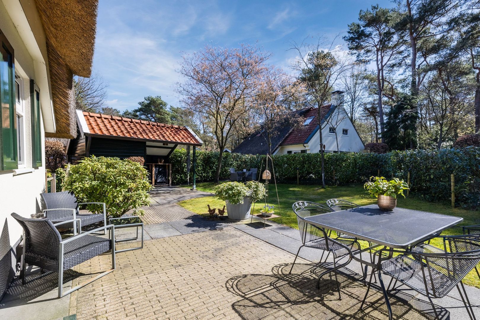 De Witte Bergen 80, Ijhorst foto-30 blur