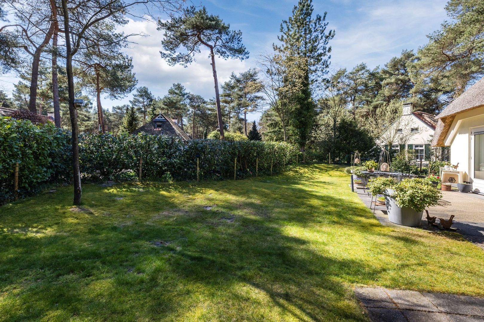 De Witte Bergen 80, Ijhorst foto-35 blur