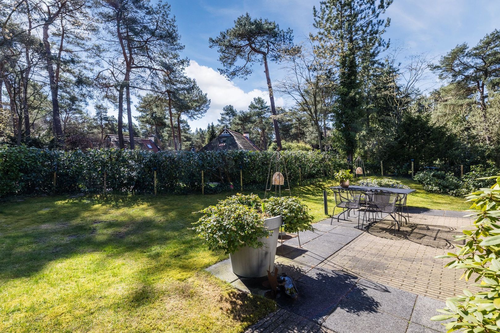 De Witte Bergen 80, Ijhorst foto-36 blur