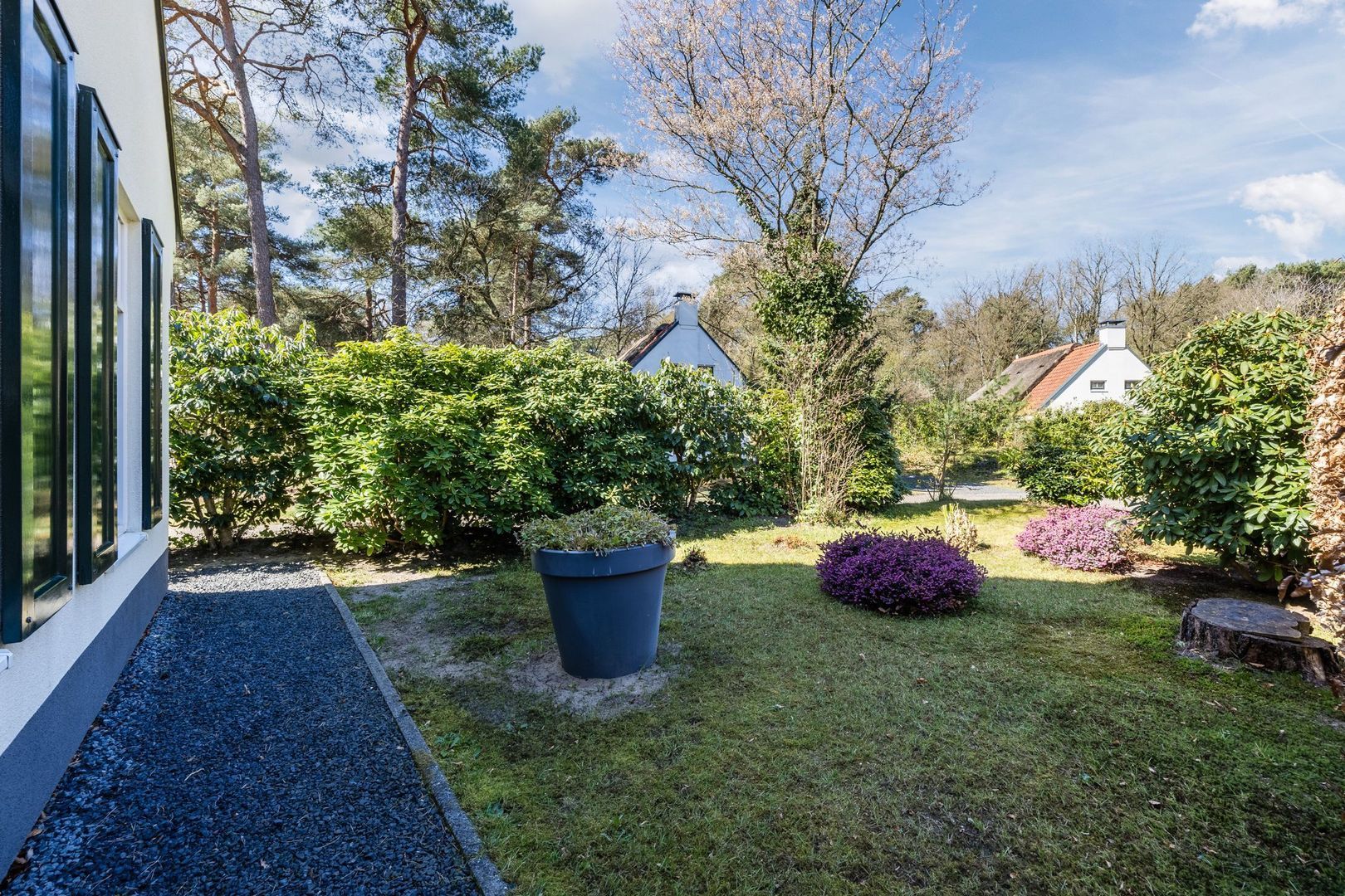 De Witte Bergen 80, Ijhorst foto-37 blur