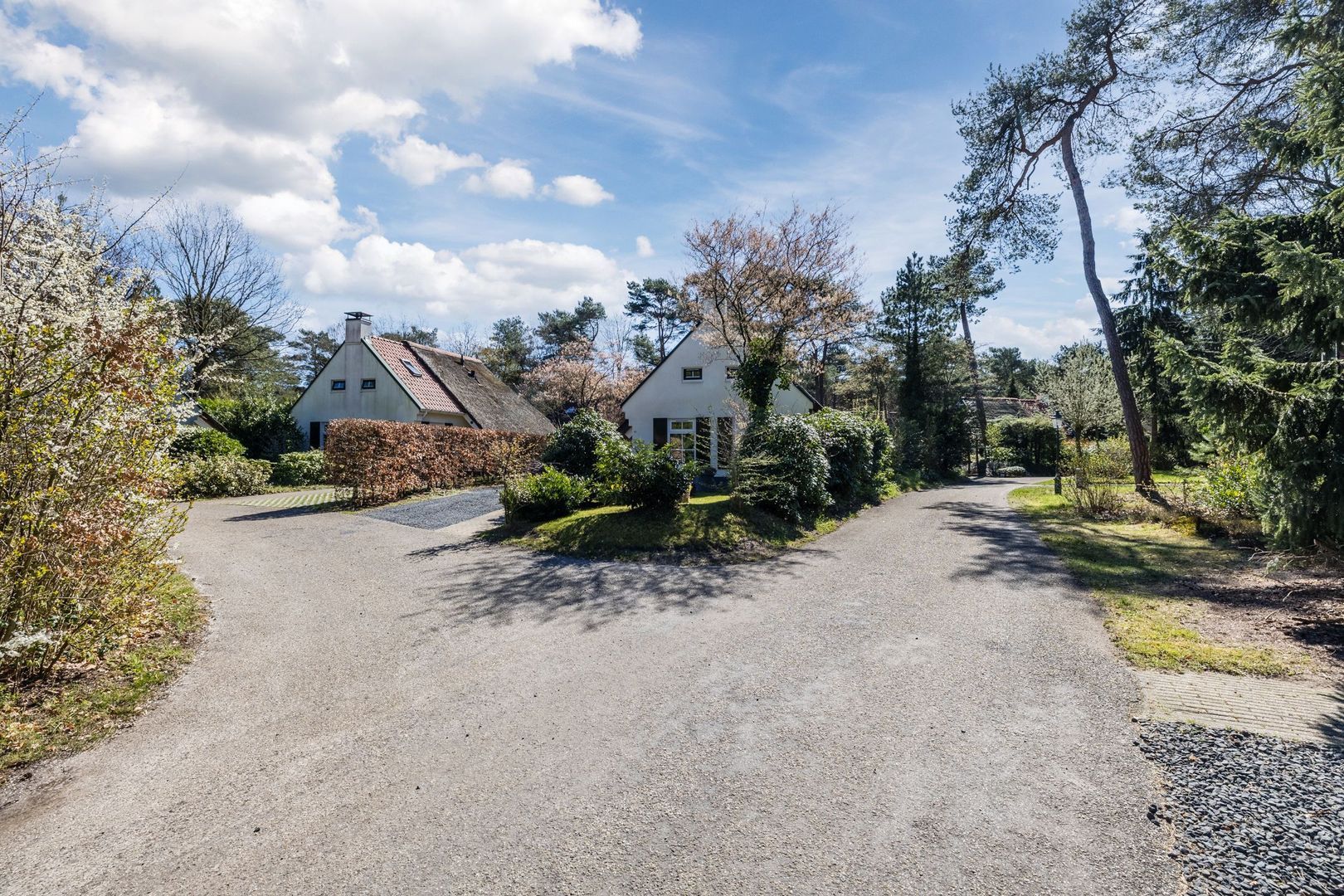 De Witte Bergen 80, Ijhorst foto-38 blur