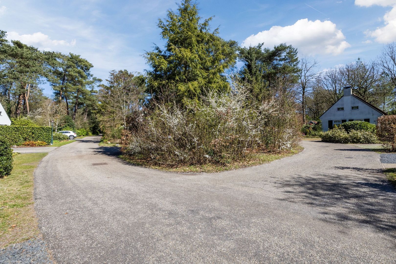 De Witte Bergen 80, Ijhorst foto-39 blur