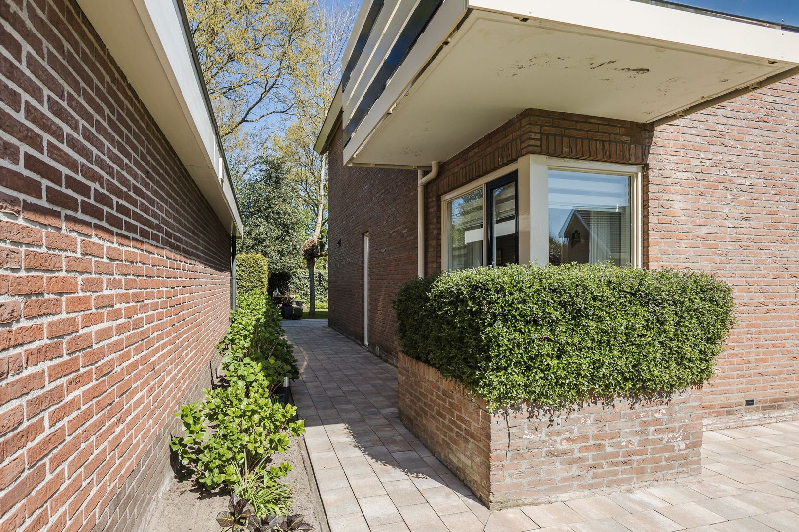 De Schuilplaats 35, Meppel foto-31 blur