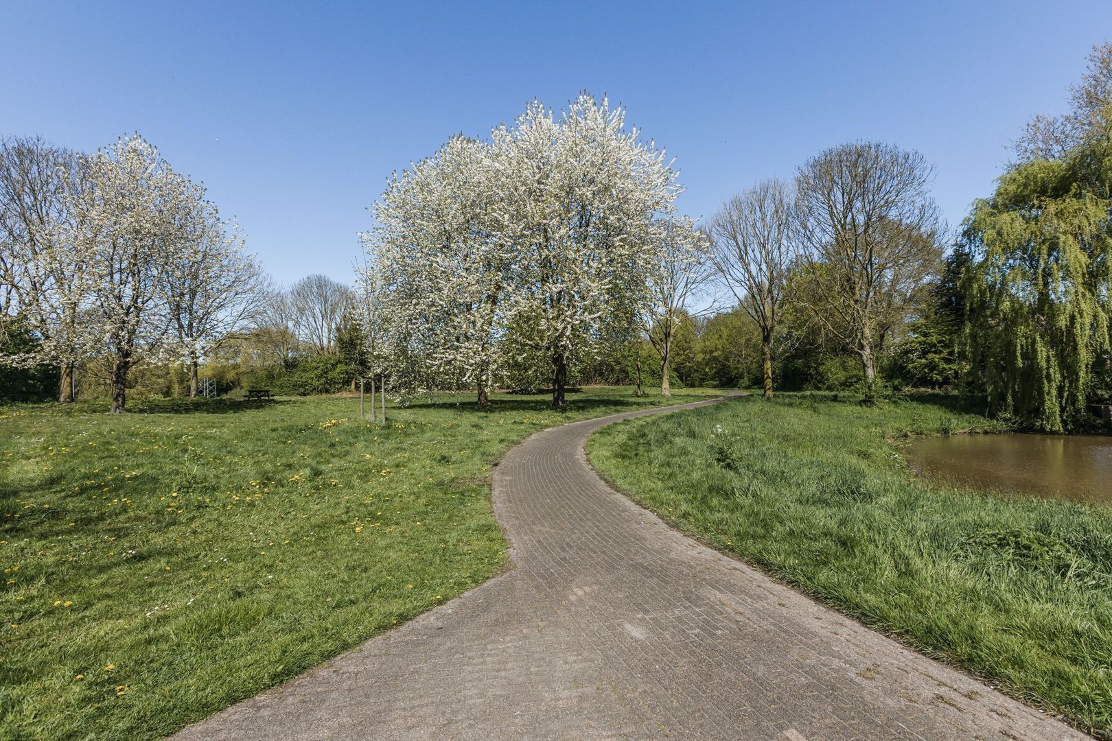 De Schuilplaats 35, Meppel foto-42 blur