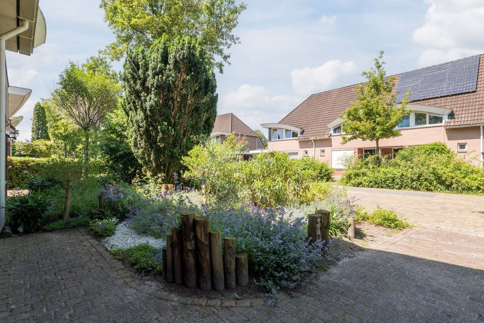 Bolster 9, Zuidwolde foto-36 blur