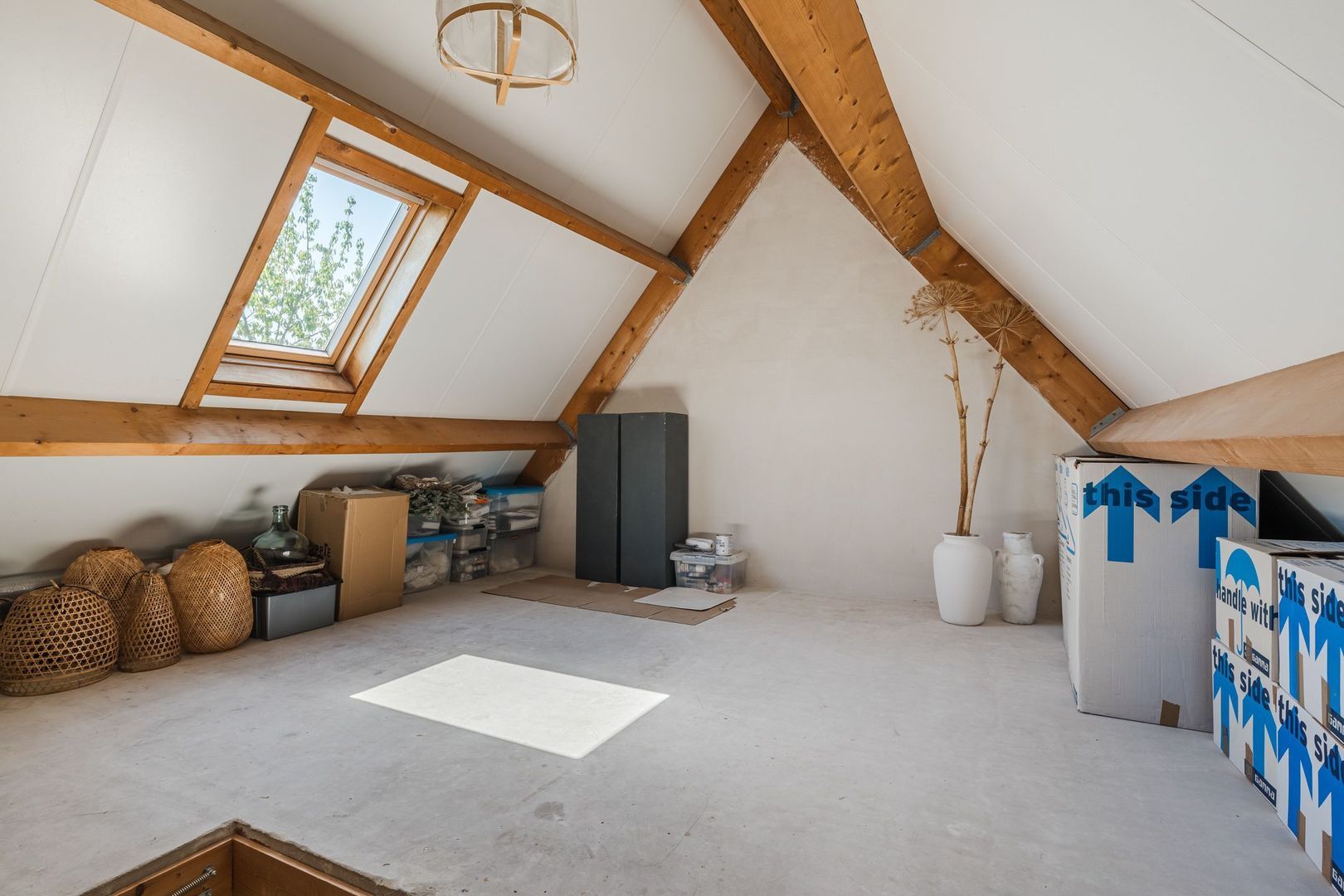 Bolster 9, Zuidwolde foto-29 blur