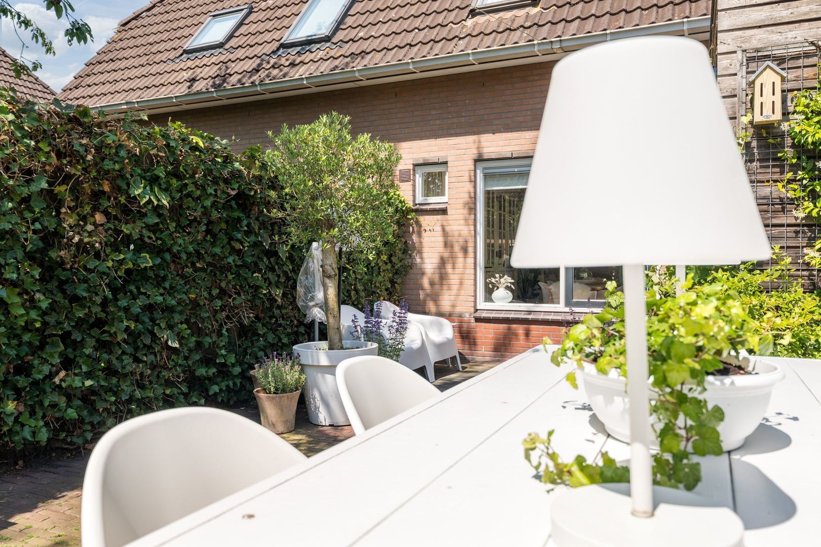 Bolster 9, Zuidwolde foto-34 blur