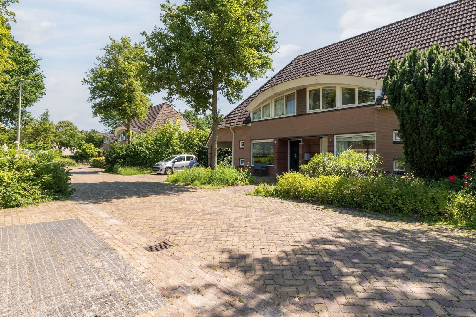 Bolster 9, Zuidwolde foto-37 blur