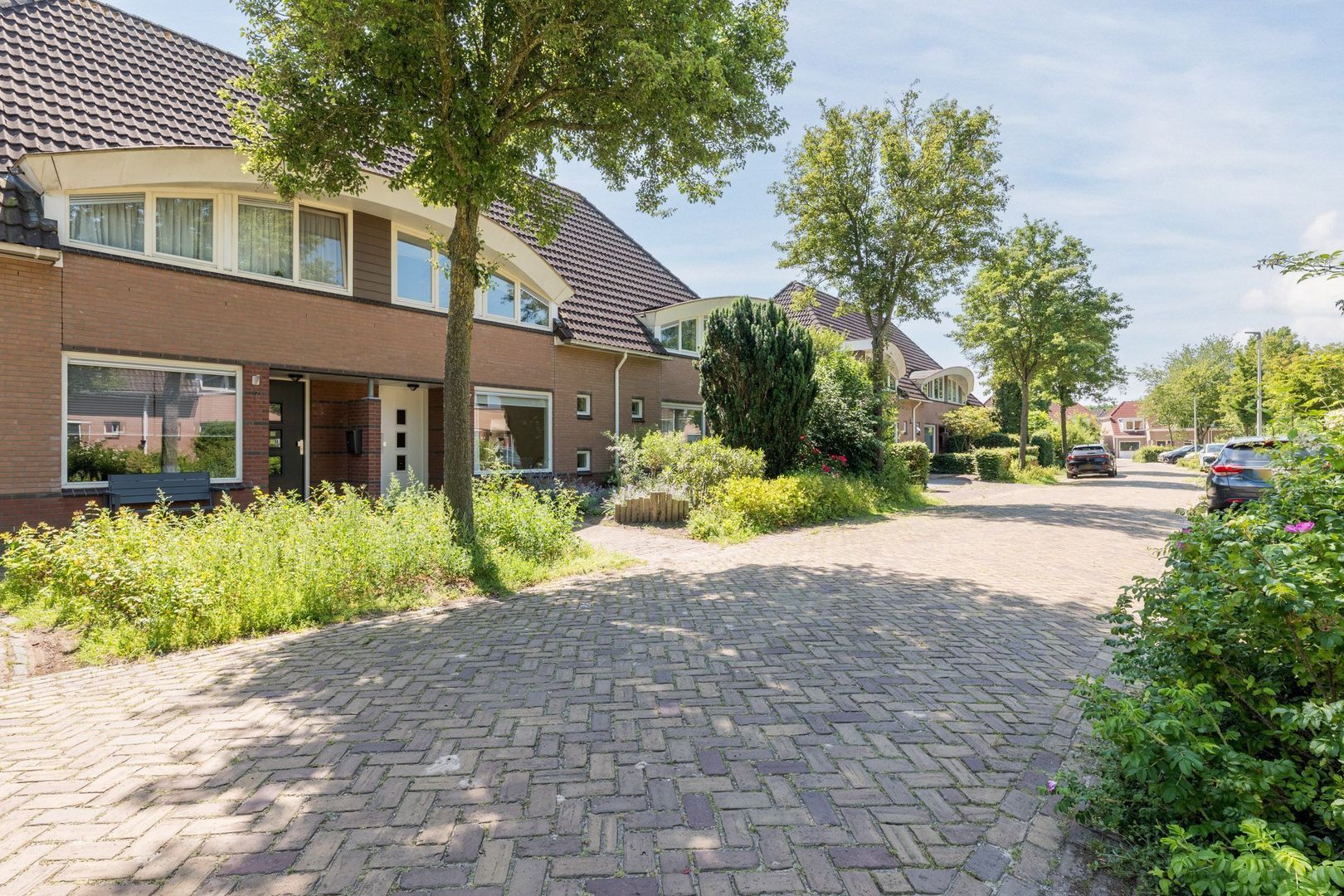 Bolster 9, Zuidwolde foto-38 blur