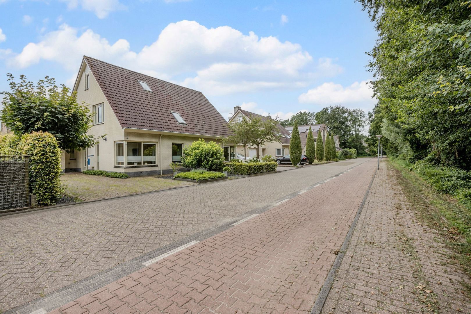 Sleedoornpage 28, Meppel foto-35 blur