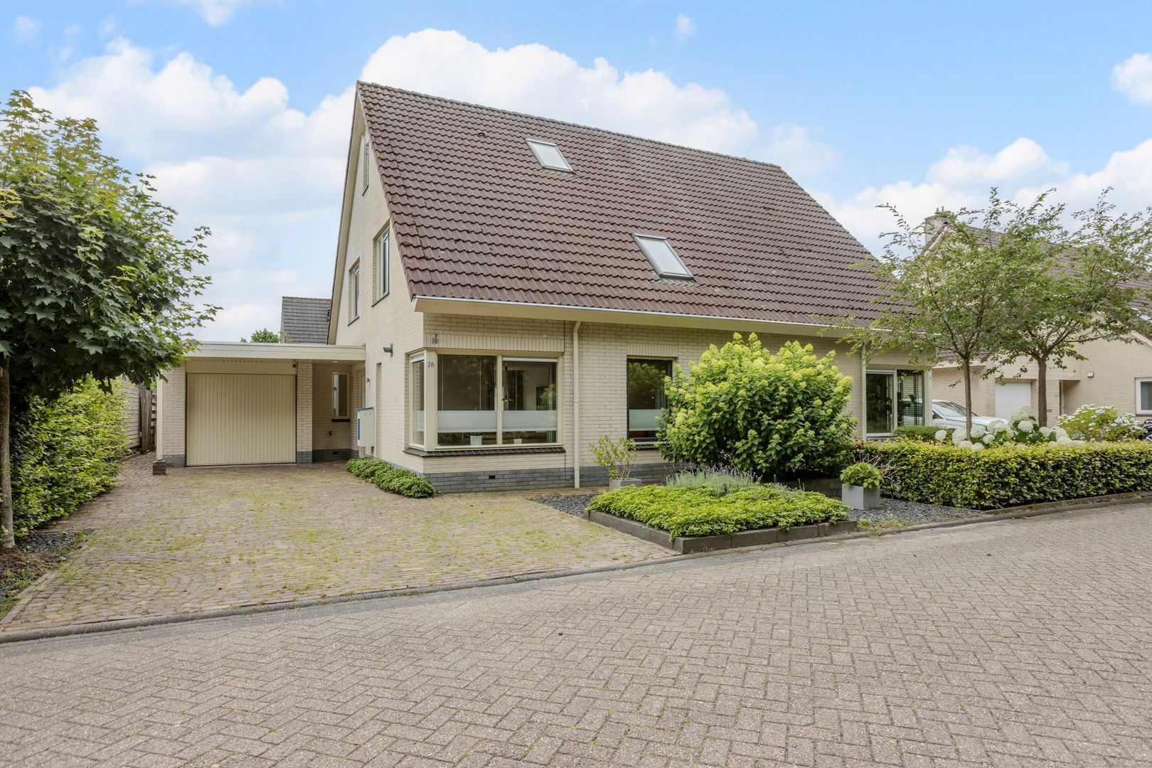 Sleedoornpage 28, Meppel foto-36 blur