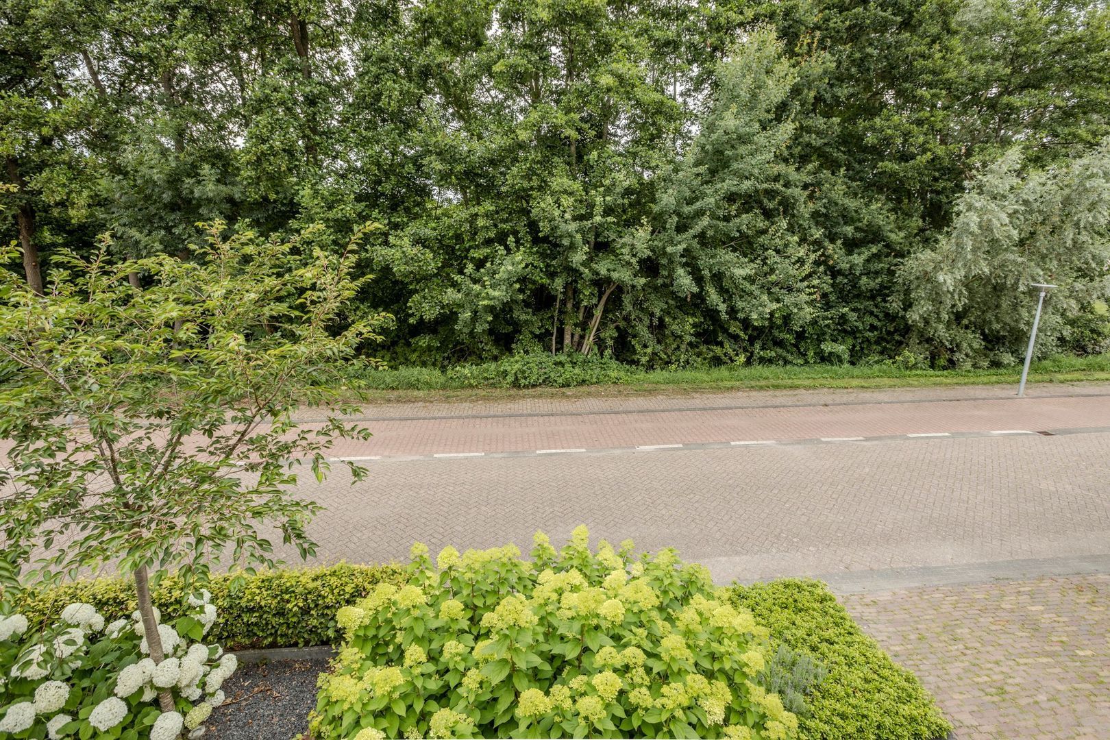Sleedoornpage 28, Meppel foto-49 blur