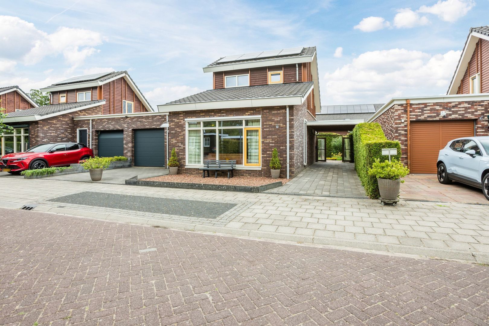 Leghorn 4, Meppel foto-1 blur