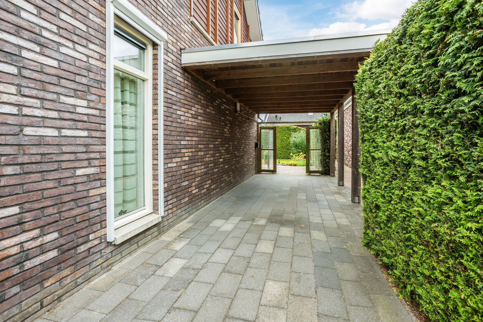 Leghorn 4, Meppel foto-30 blur
