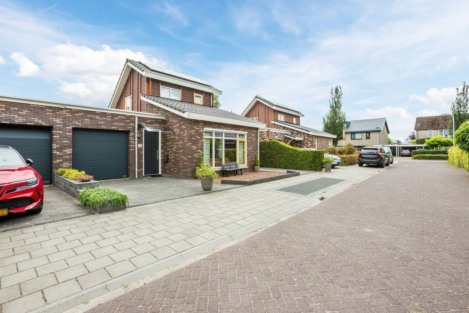 Leghorn 4, Meppel foto-29 blur