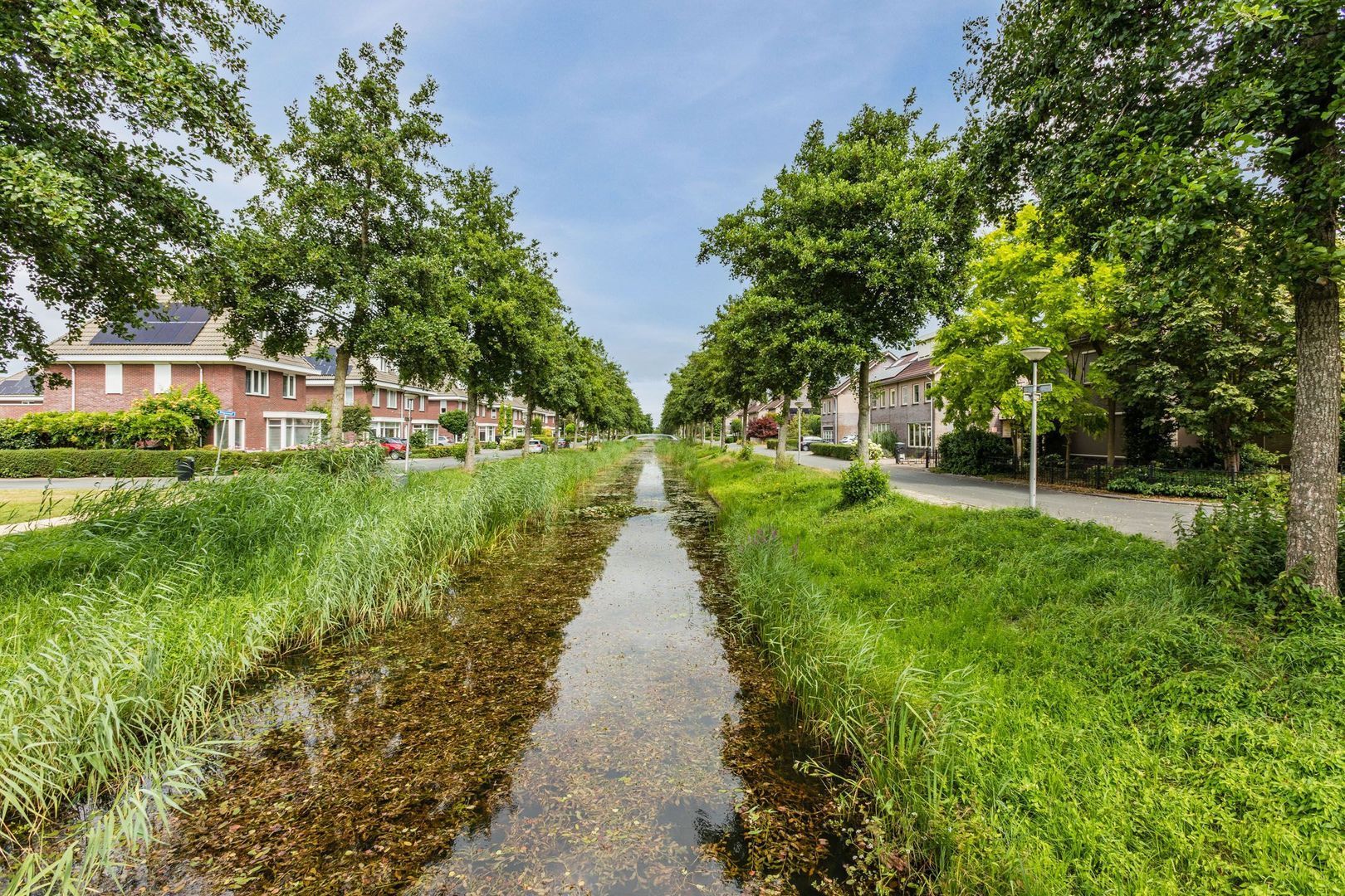 Vogelwikke 9, Meppel foto-42 blur