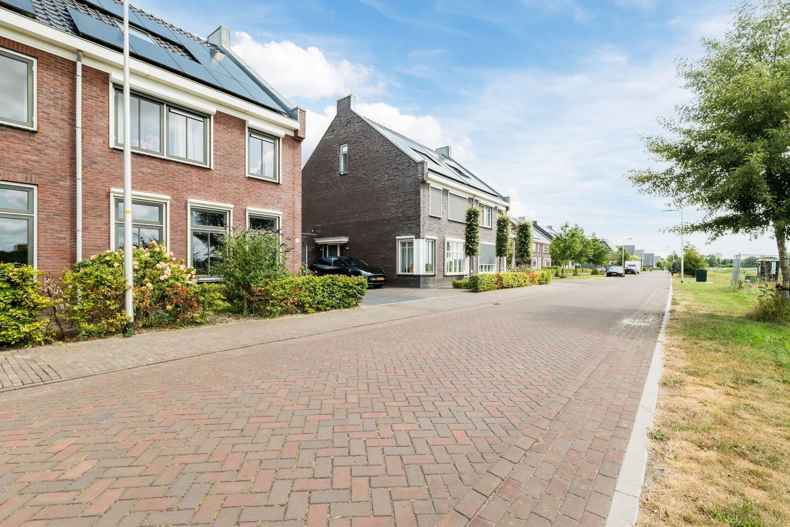 Veldbeemd 14, Meppel foto-25 blur