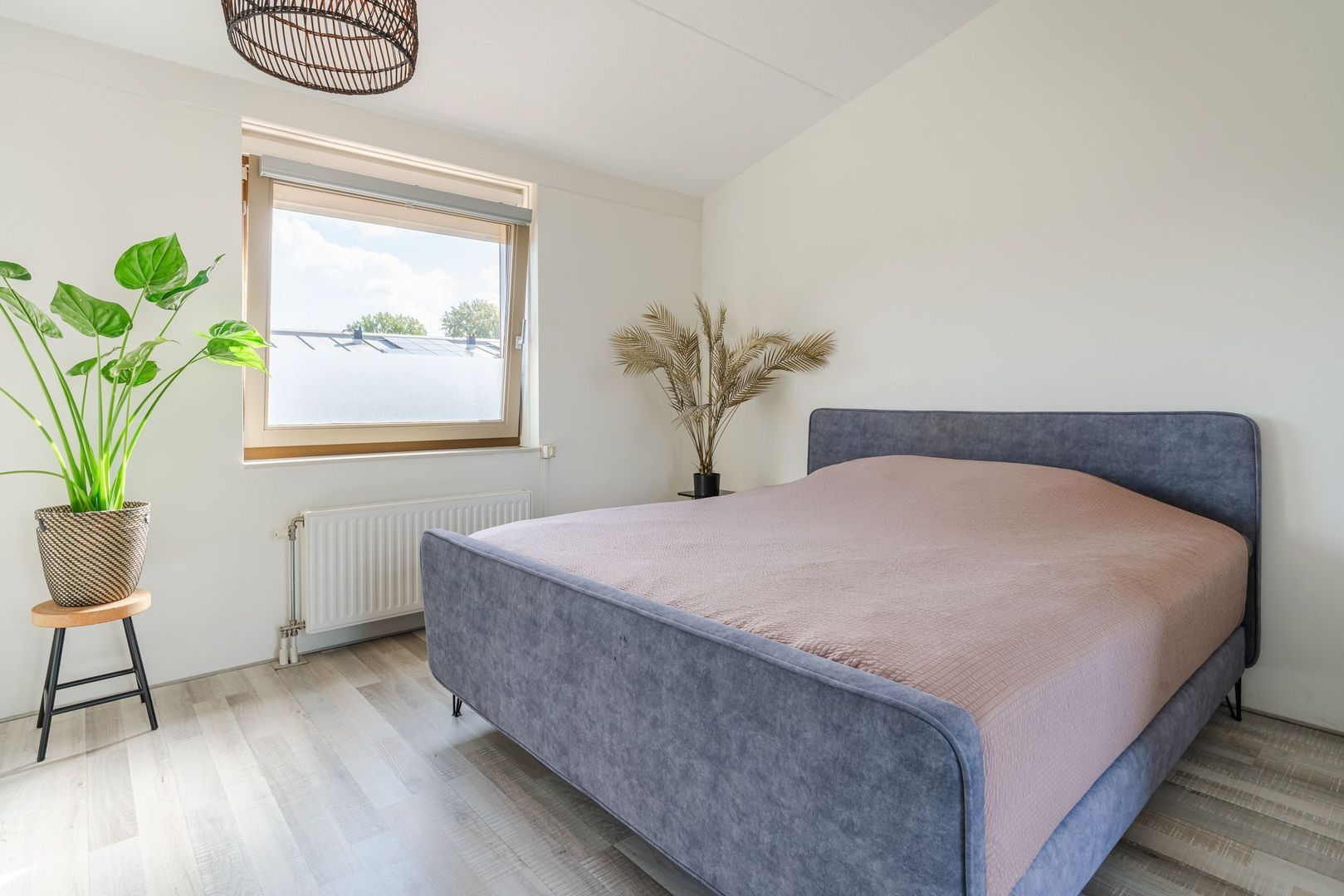 Kuyperstraat 46, Meppel foto-23 blur