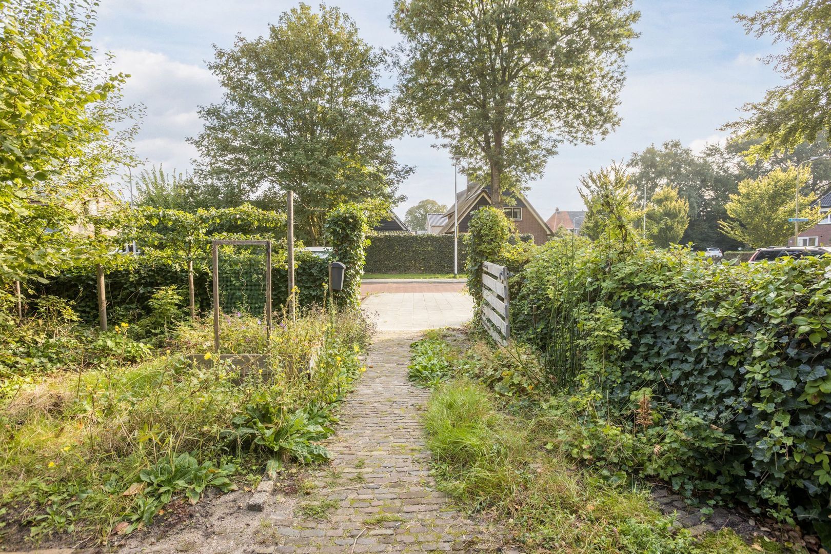 Ds A.C. van Raalteweg 1, Wanneperveen foto-32 blur