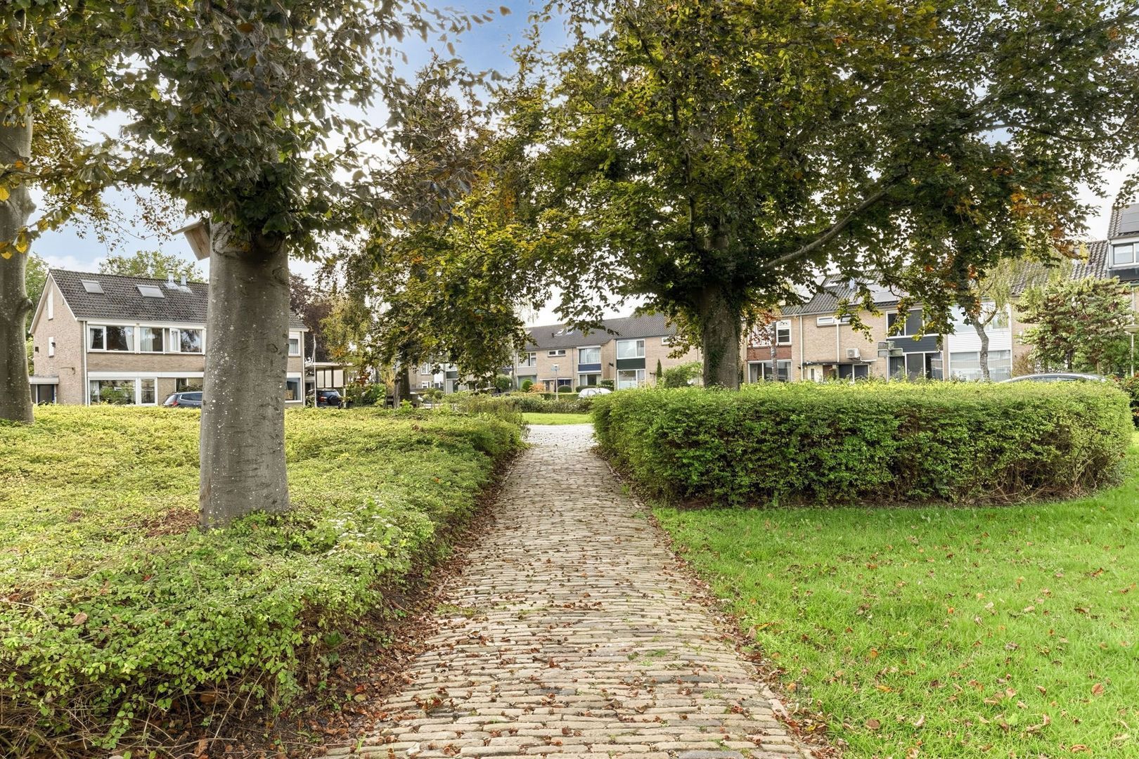 Jan Vermeerstraat 35, Meppel foto-34 blur