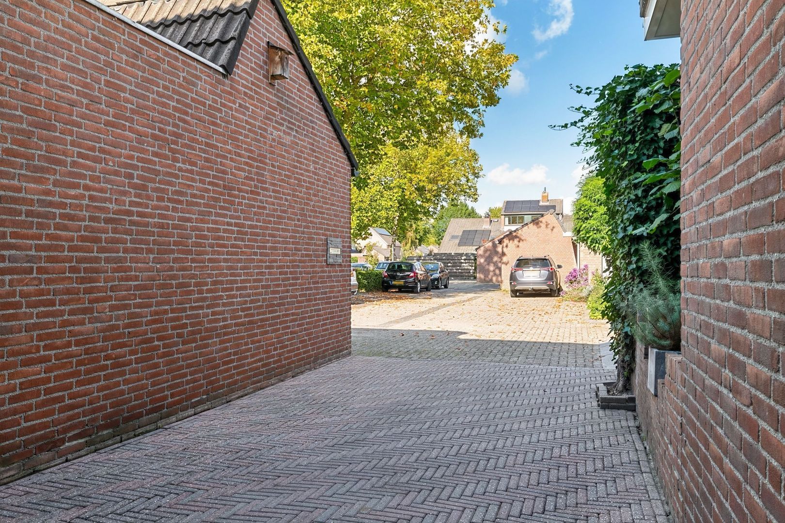 Verzetslaan 49, Meppel foto-25 blur