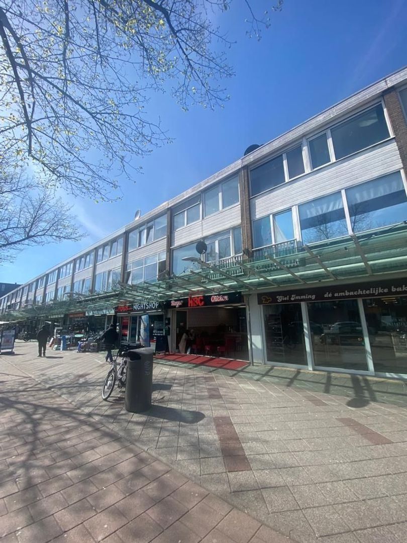 Osdorper Ban 54, Amsterdam foto-8 blur