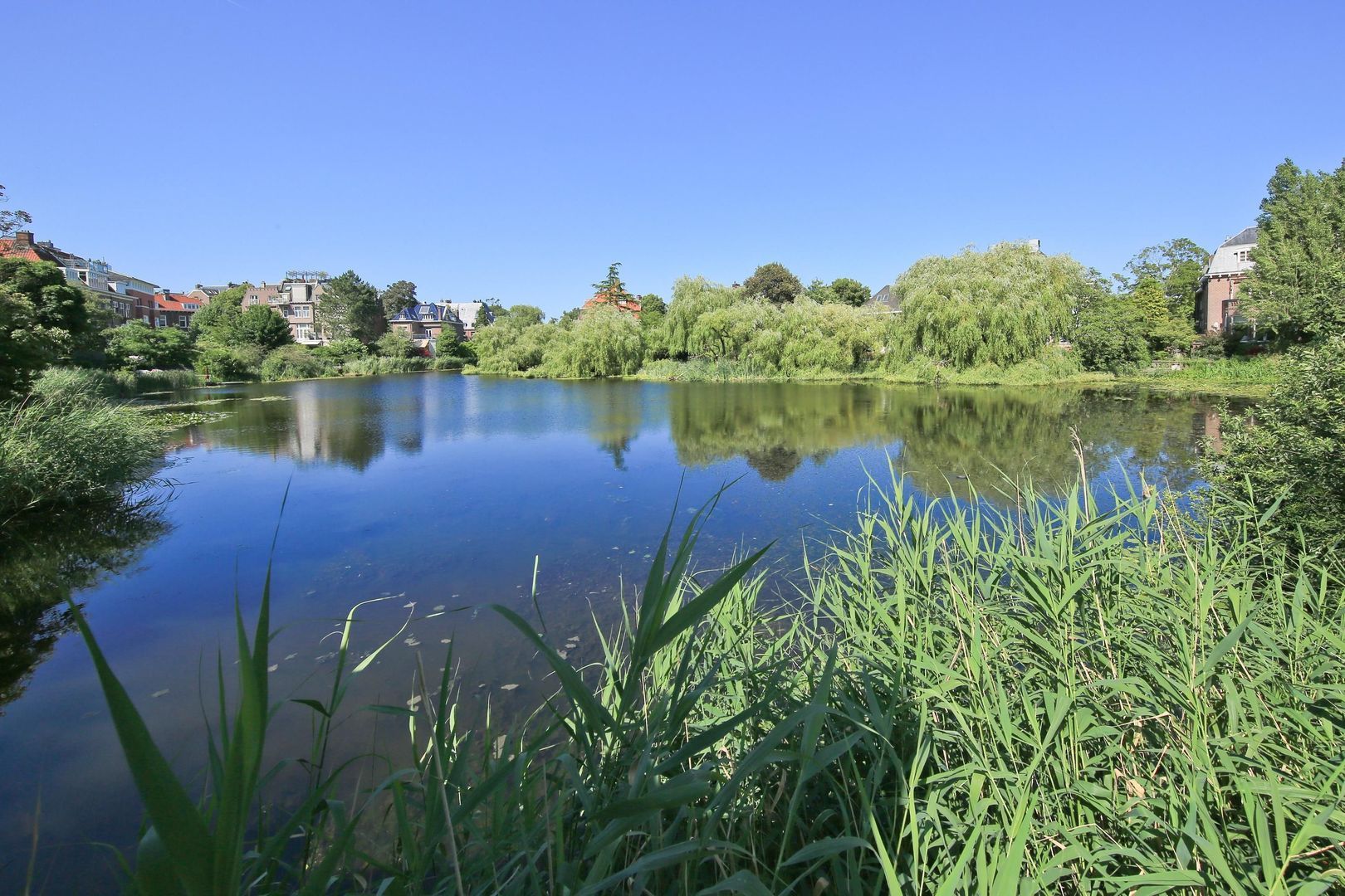 Sophialaan 51, Amsterdam foto-29 blur