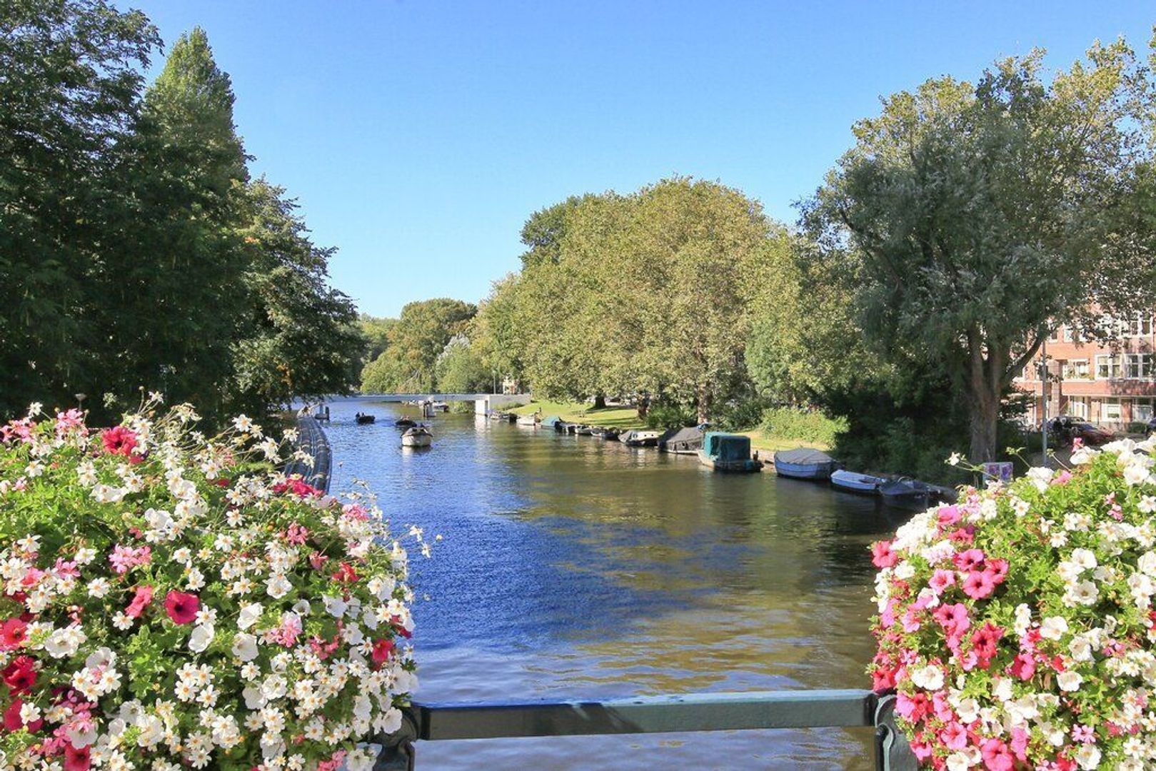 Achillesstraat 110, Amsterdam foto-32 blur