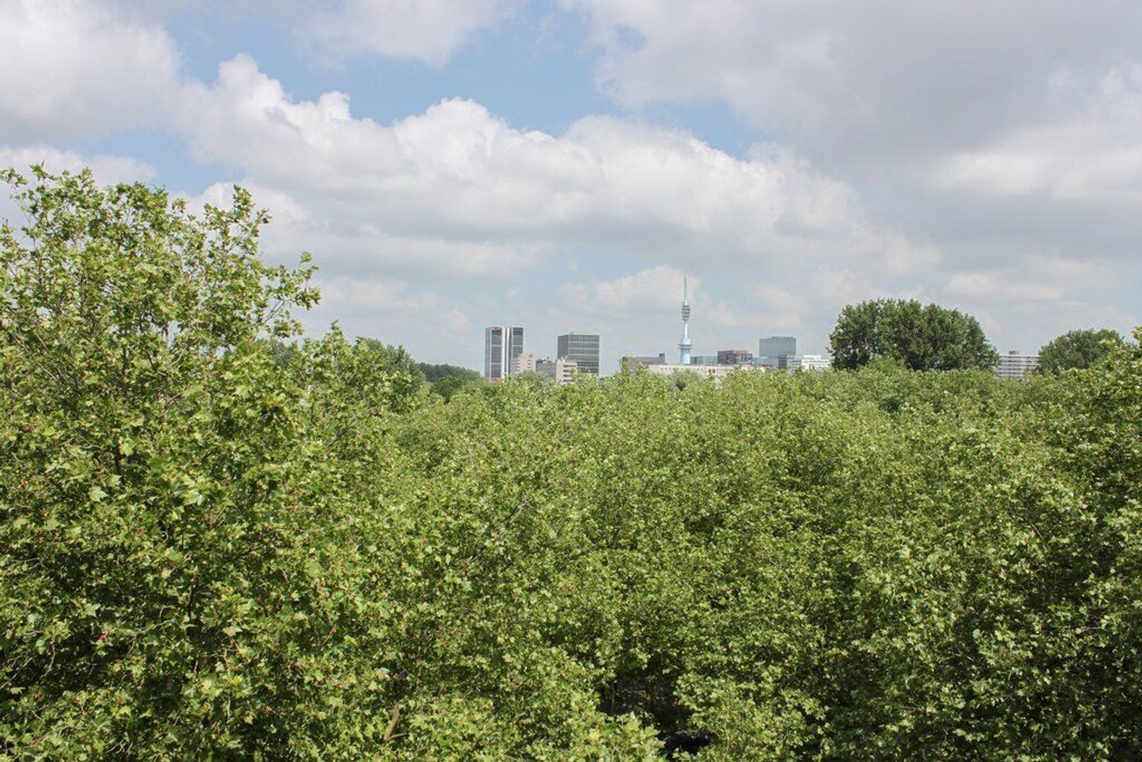 Rondeel 48, Amsterdam foto-15 blur