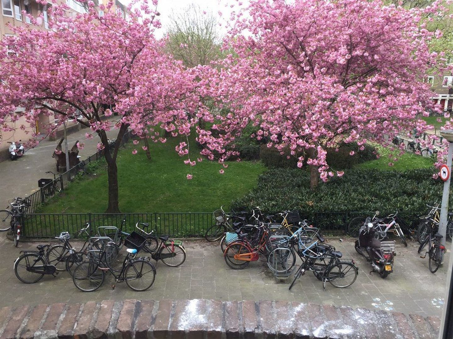 Borssenburgstraat 19 1, Amsterdam foto-11 blur