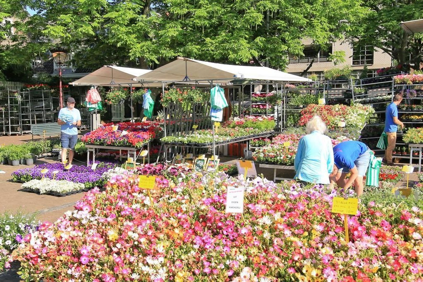 Prinsengracht 993, Amsterdam foto-39 blur