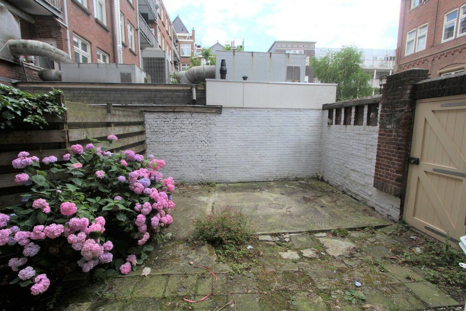 Nirwana 4, Amsterdam foto-5 blur