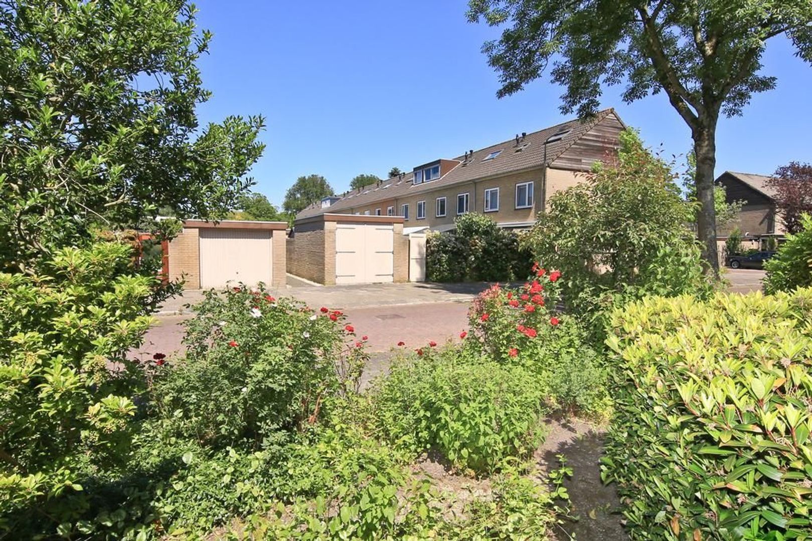 Watercirkel 348, Amstelveen foto-35 blur