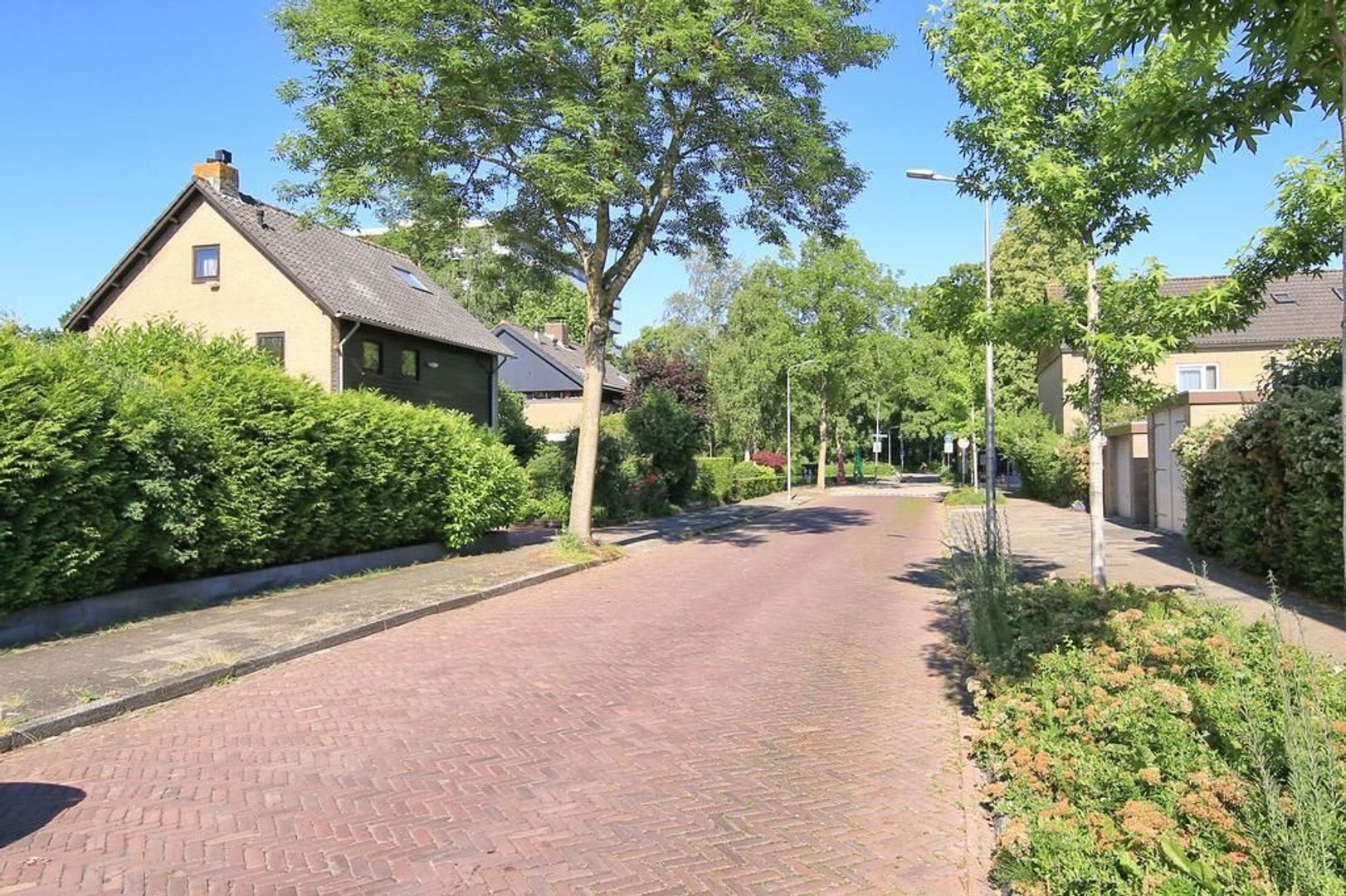 Watercirkel 348, Amstelveen foto-37 blur