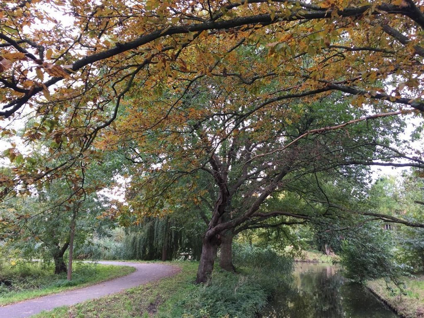 Celsiusstraat 9, Amsterdam foto-53 blur