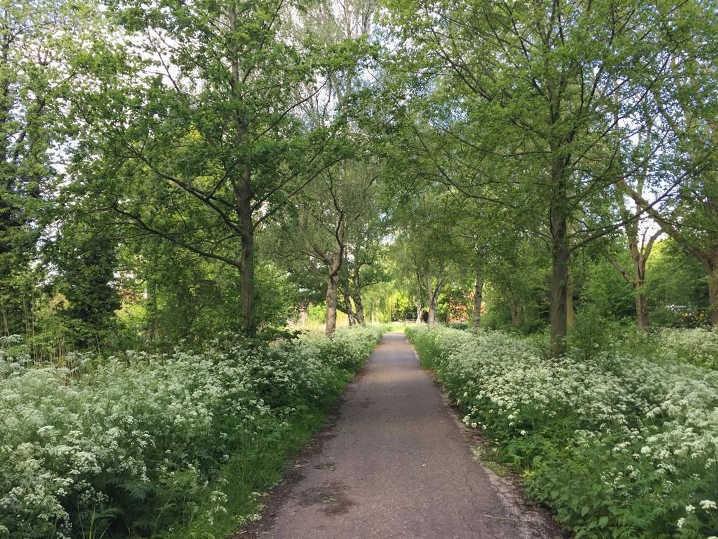 Celsiusstraat 9, Amsterdam foto-54 blur