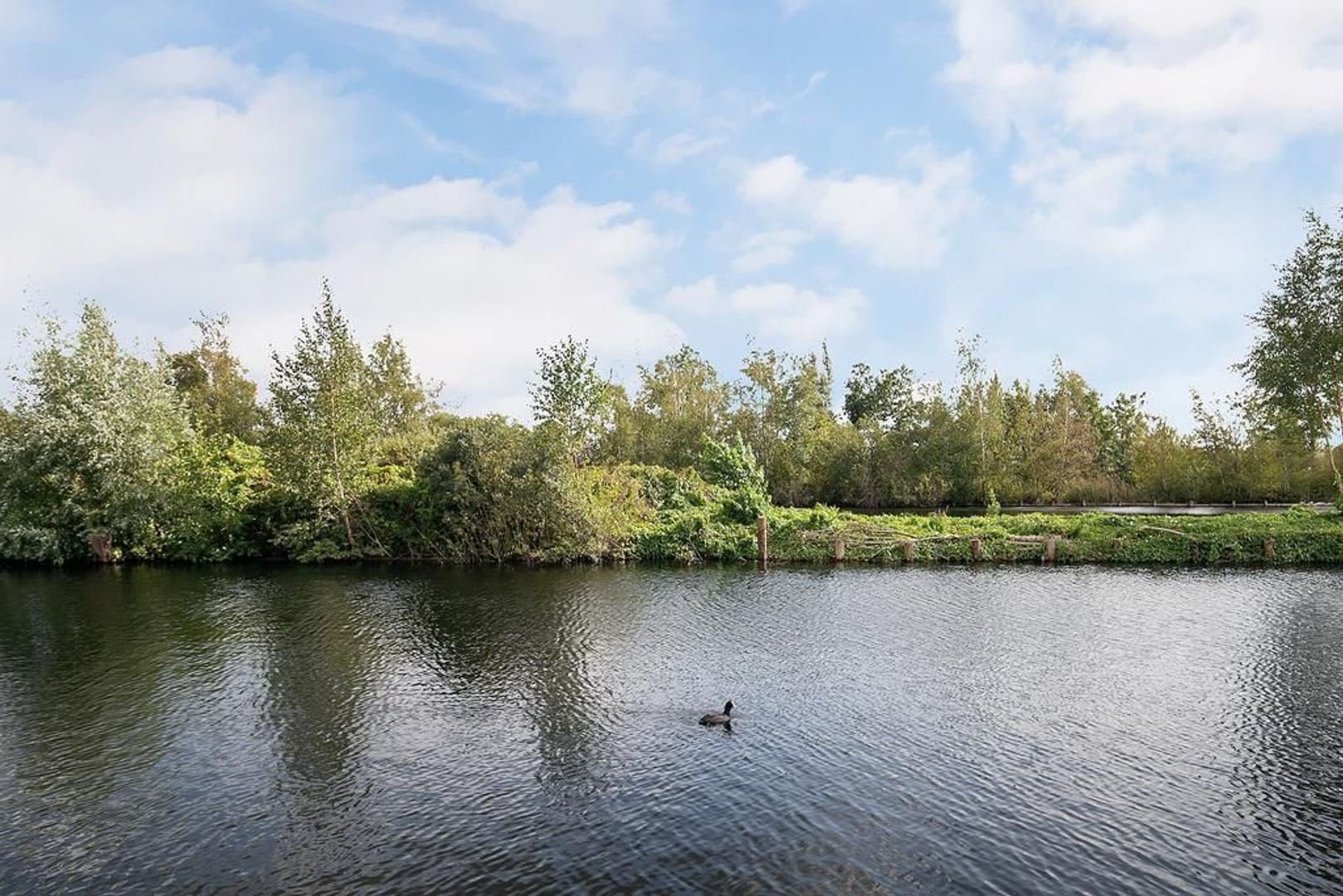 Baambrugse Zuwe 128 C, Vinkeveen foto-49 blur