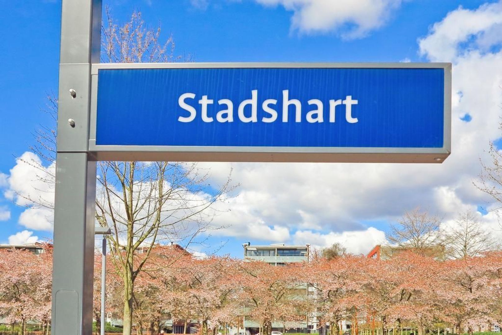 Rembrandtweg 176, Amstelveen foto-35 blur