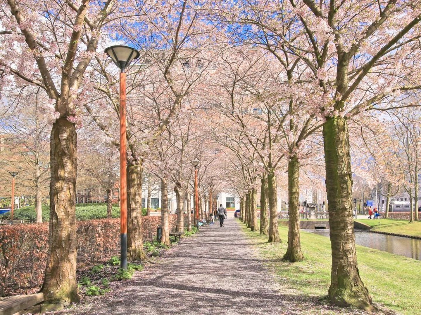 Rembrandtweg 176, Amstelveen foto-30 blur