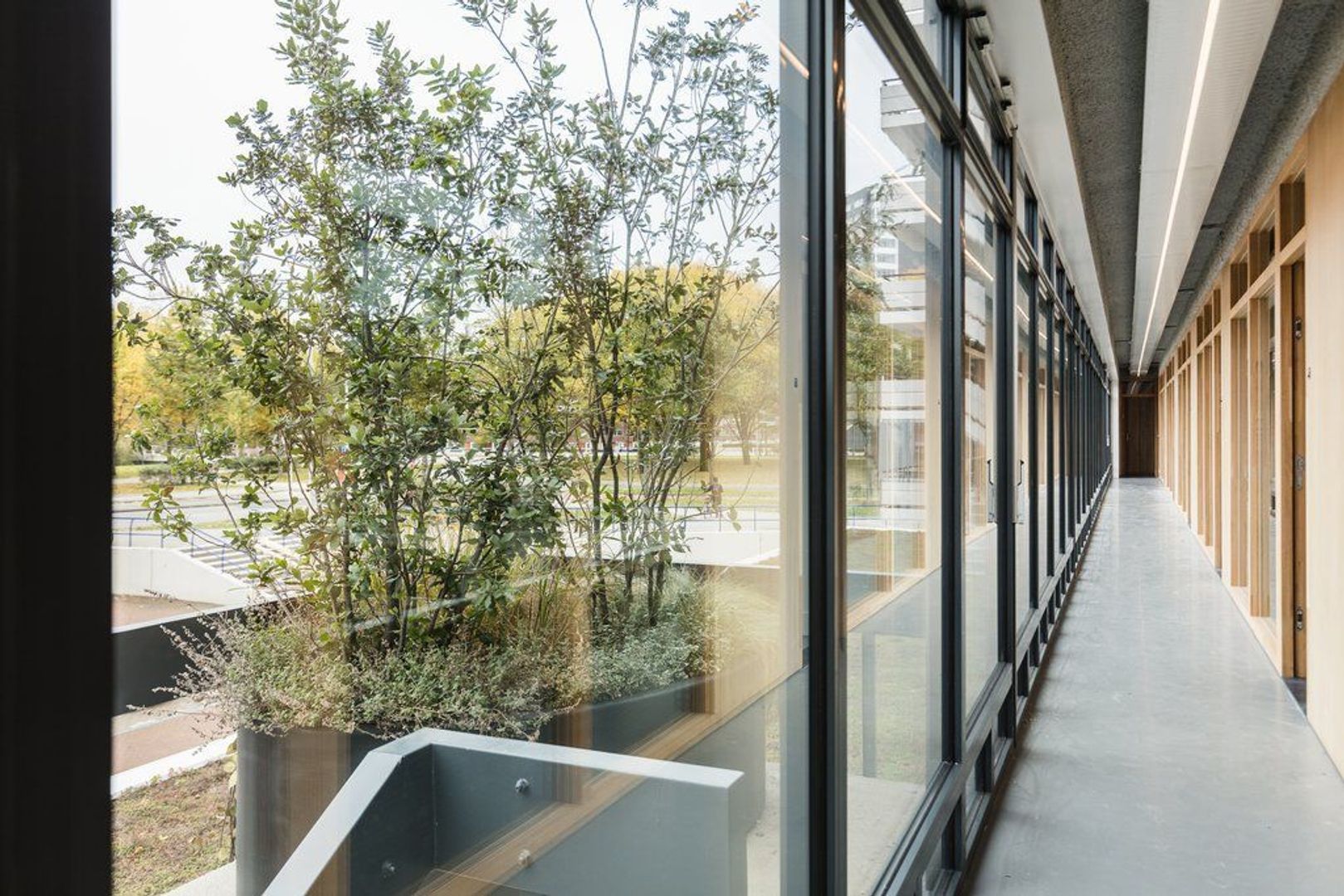 Burgemeester Hogguerstraat 1185, Amsterdam foto-5 blur