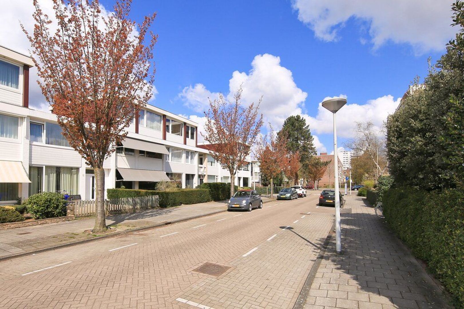 Opveld 10, Amsterdam foto-1 blur