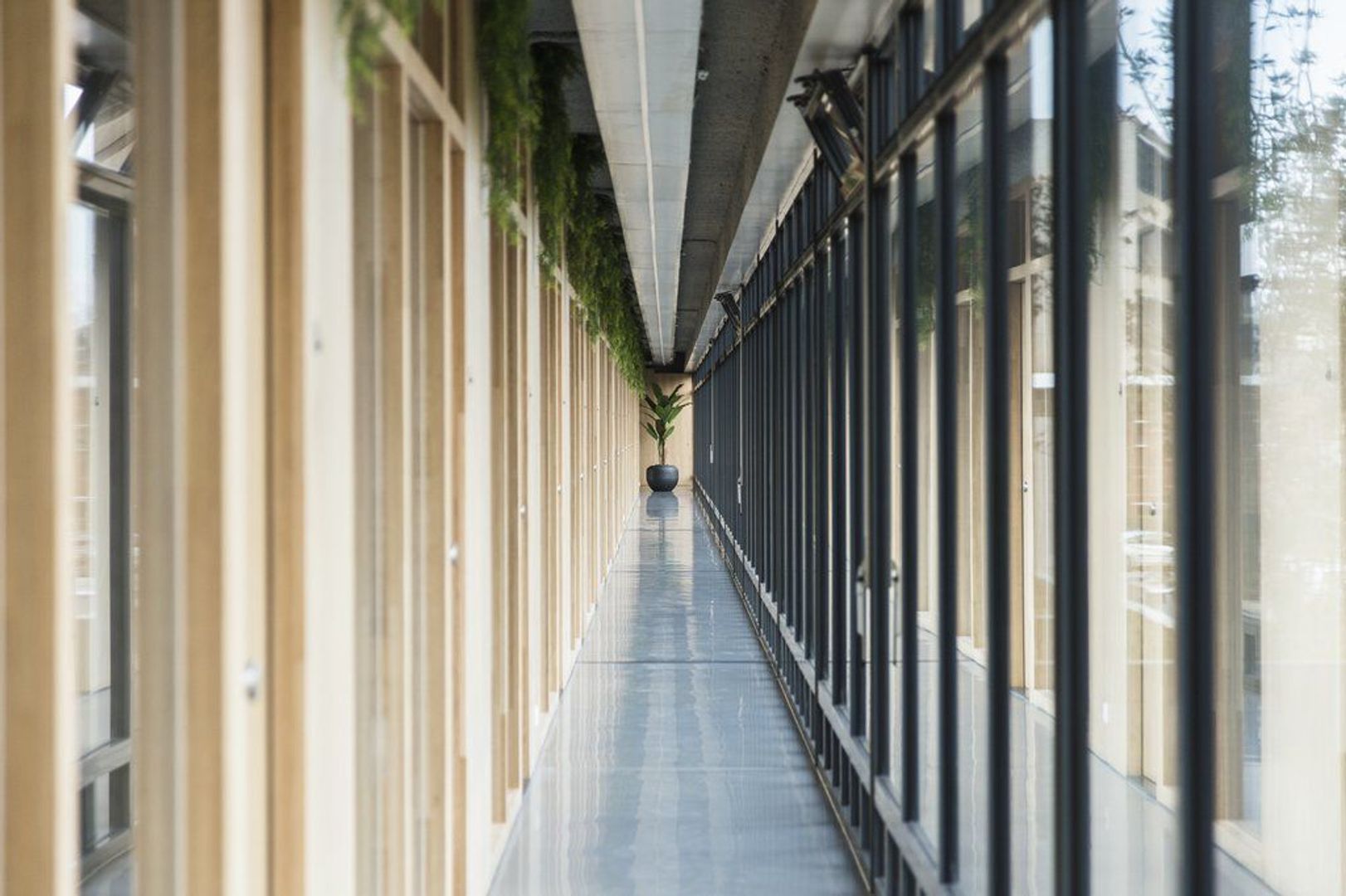 Burgemeester Hogguerstraat 1211, Amsterdam foto-4 blur