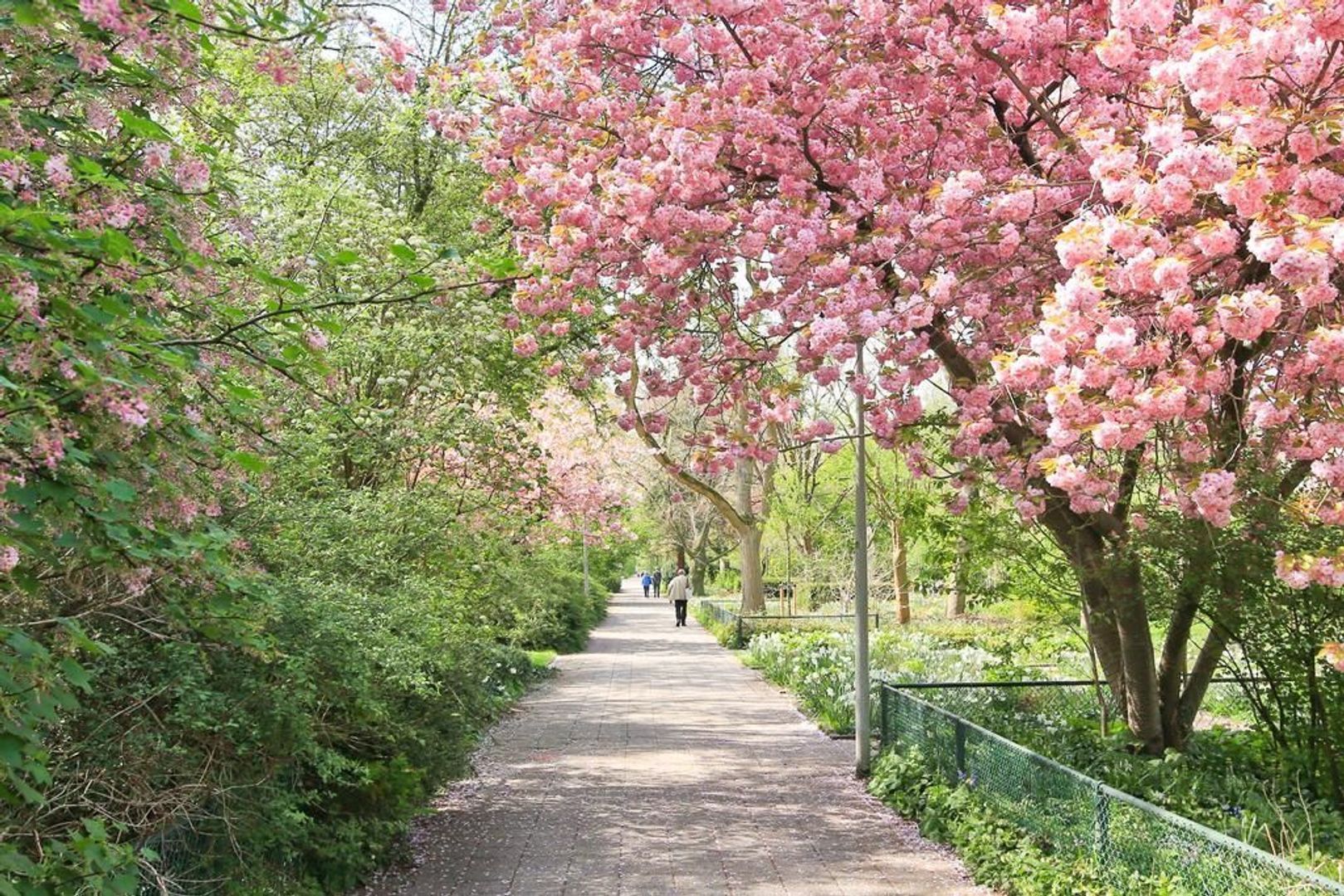 Willem van Weldammelaan 115 I + PP, Amsterdam foto-34 blur