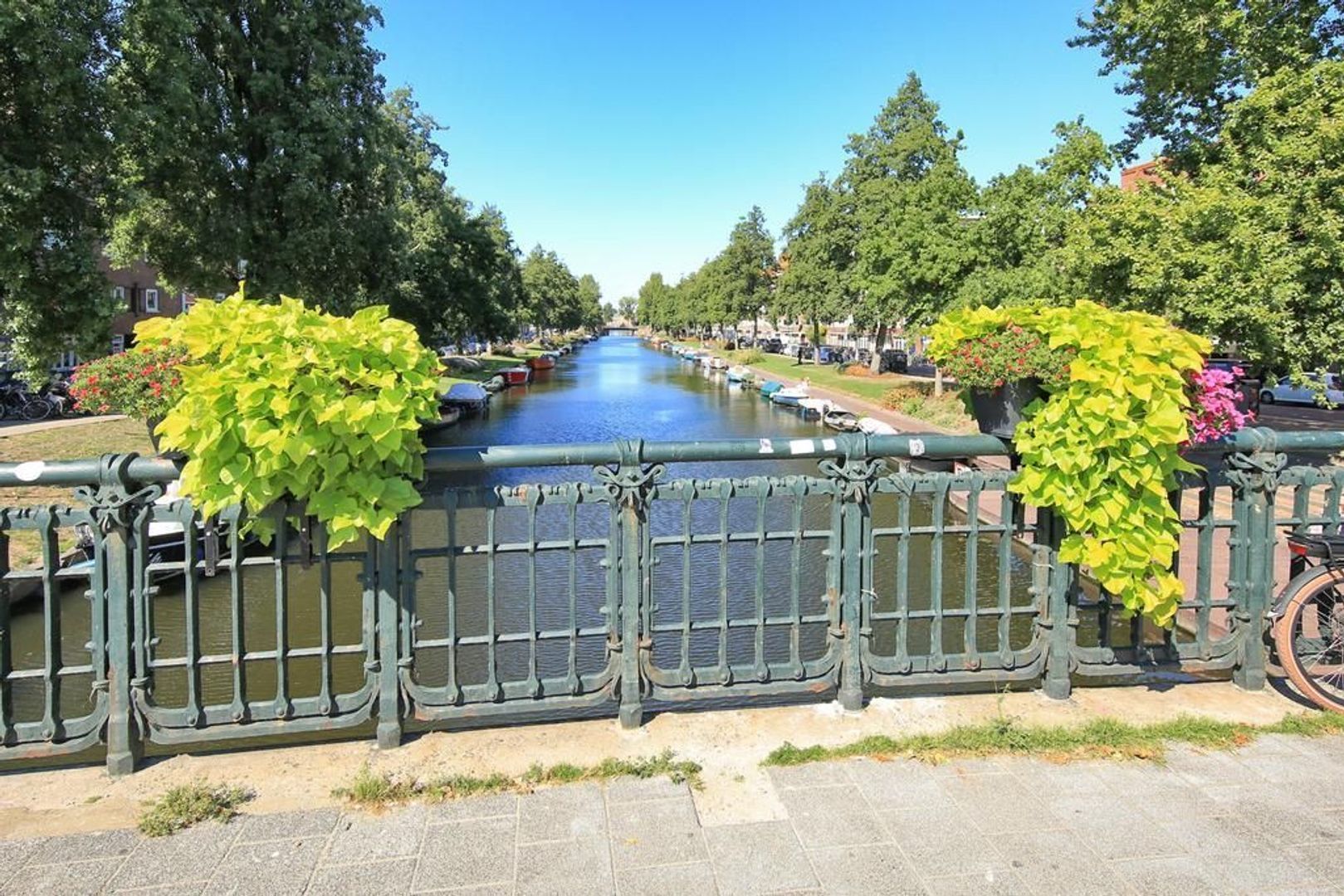 Pieter van der Doesstraat 42 -III, Amsterdam foto-39 blur