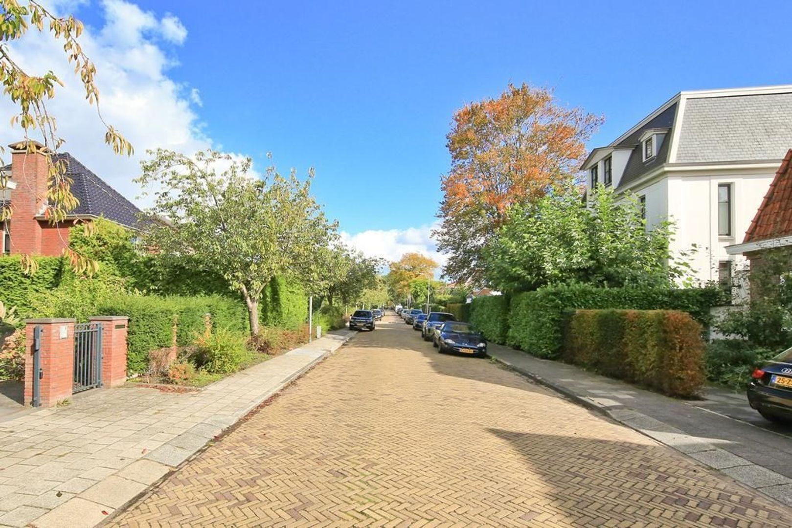 Heemraadschapslaan 76, Amstelveen foto-43 blur